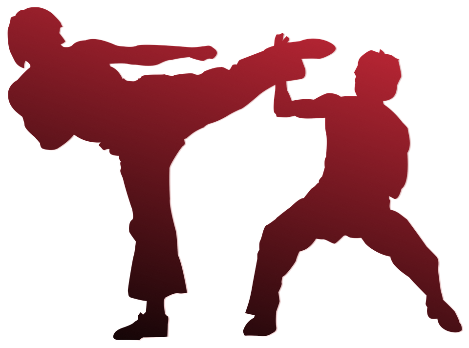 Sydney Martial Arts – Sports, Self-defense And Development