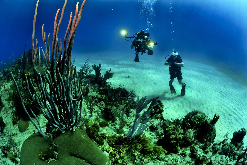 Diving Instructor Course Australia