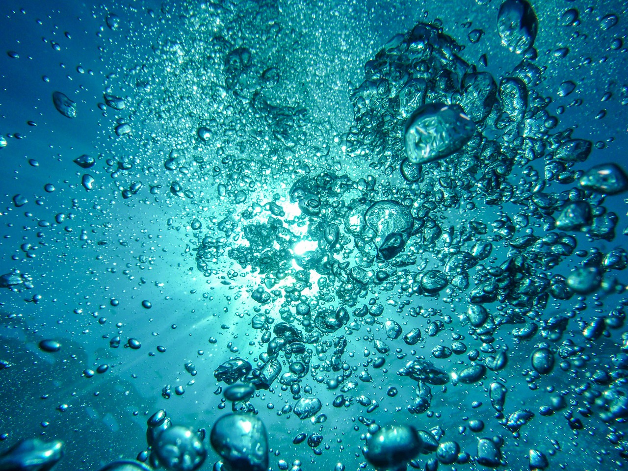 dive1