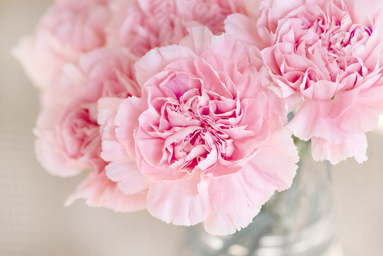 flowers1