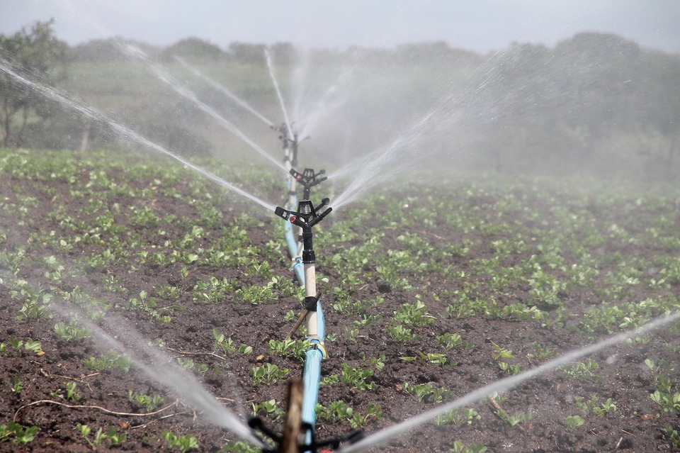 Top 4 Irrigation Installation Ideas That Are Likely To Bring You Results In Perth