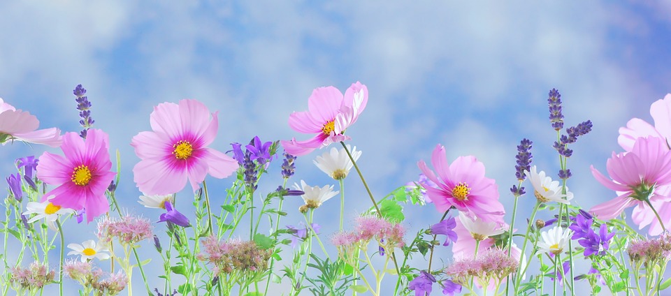 Getting The Right Flowers In Kalgoorlie