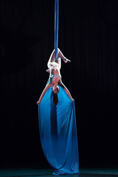 Why You Need Aerial Lyra Lessons From Sydney