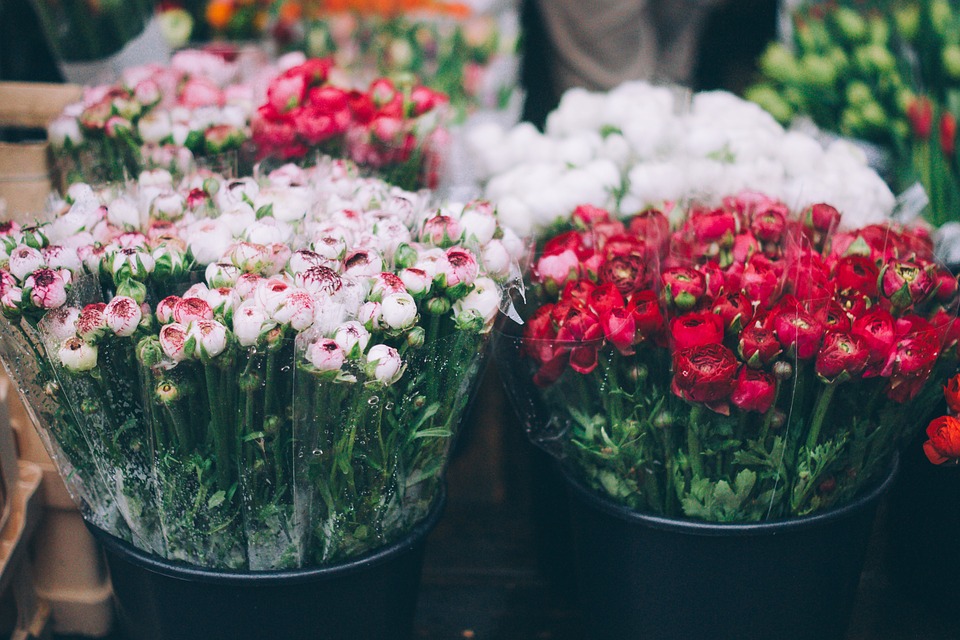 Buying Flowers In Kalgoorlie