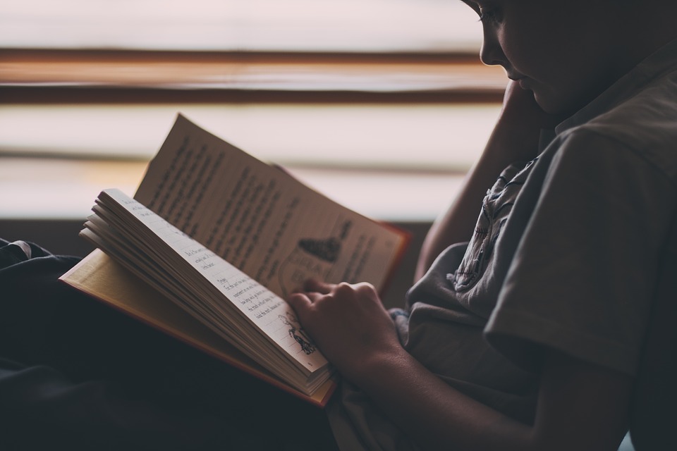 Dyslexia And Reading Programs