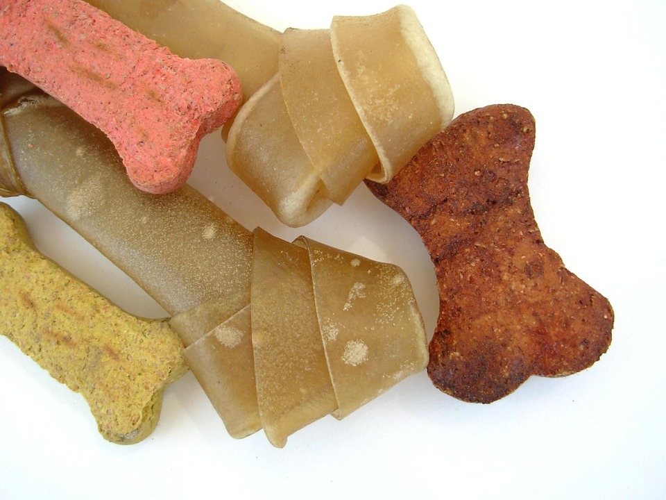 Australian Dog Treats – Meal Options For Your Pet