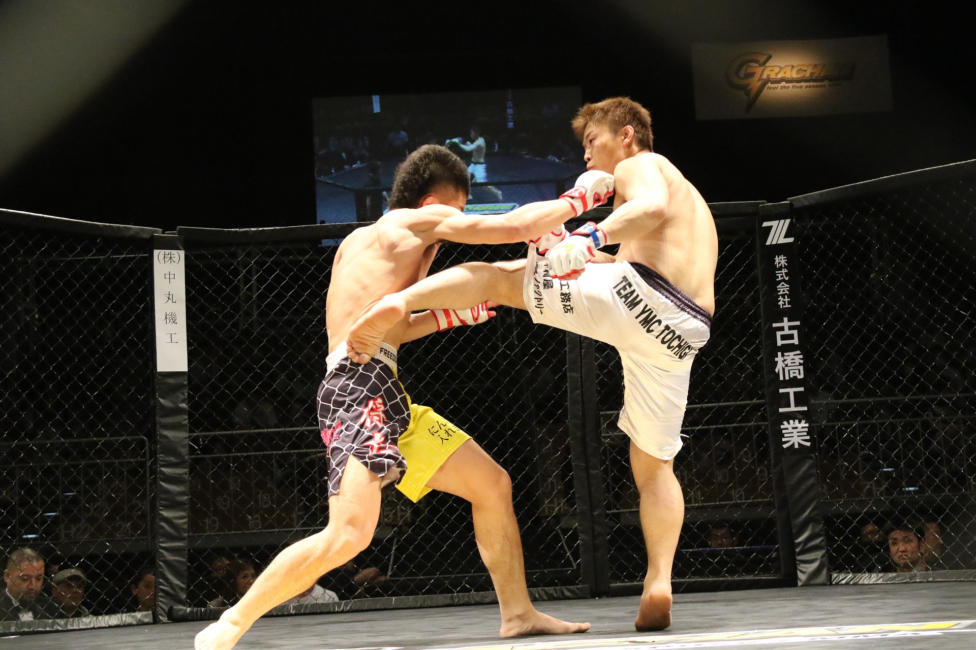 mma-1444469_1920