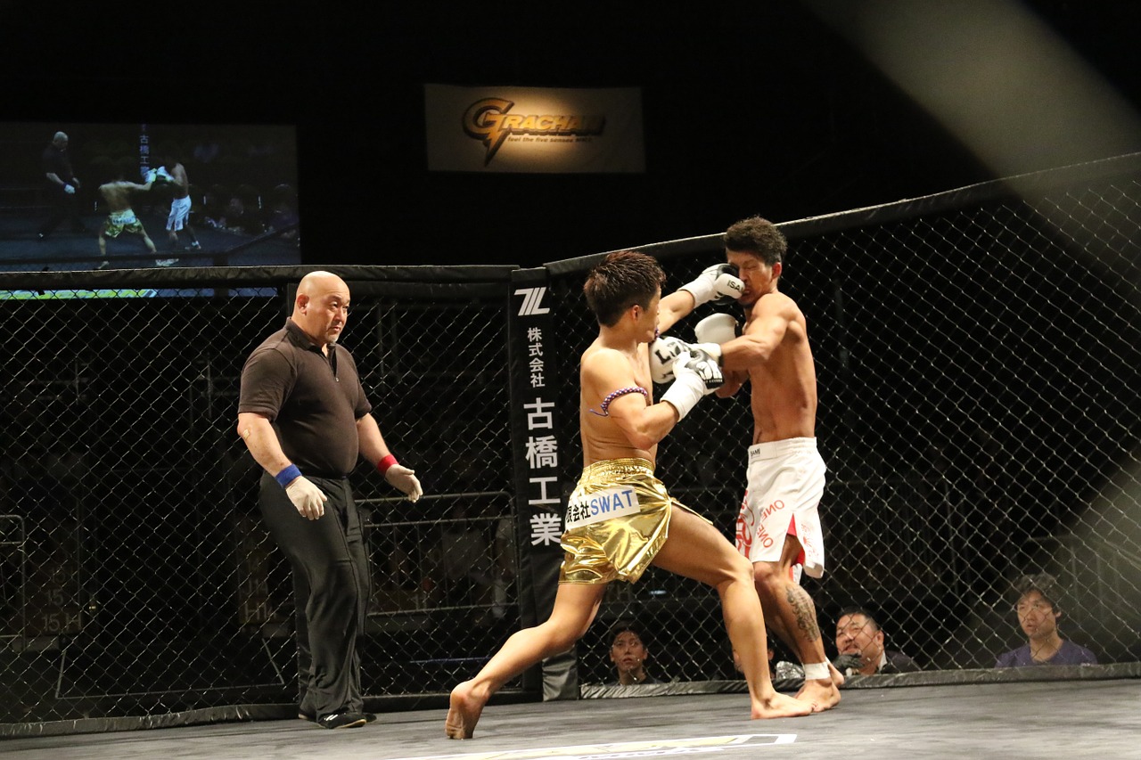 kickboxing-1410906_1280