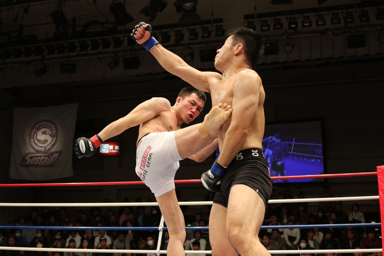 mixed-martial-arts-1314503_1280