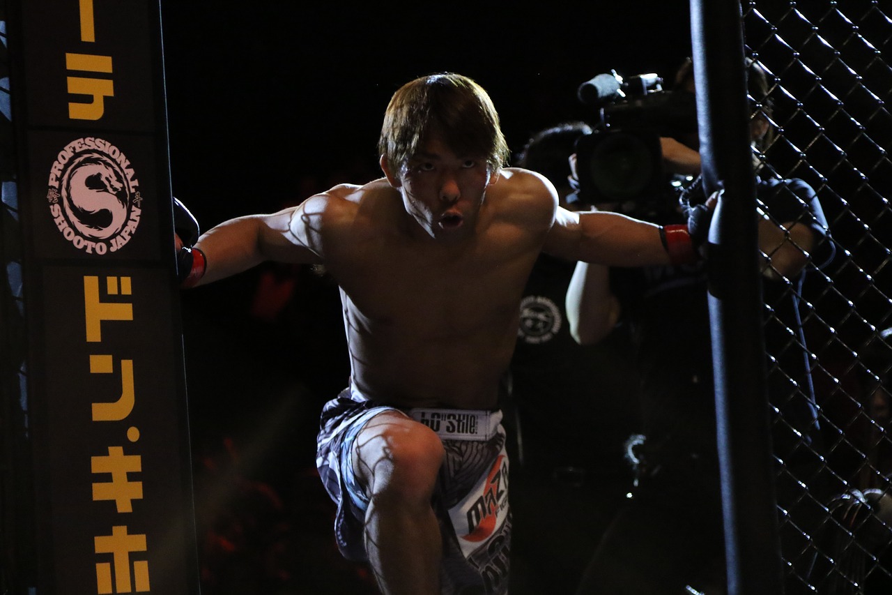 mma-2495817_1280