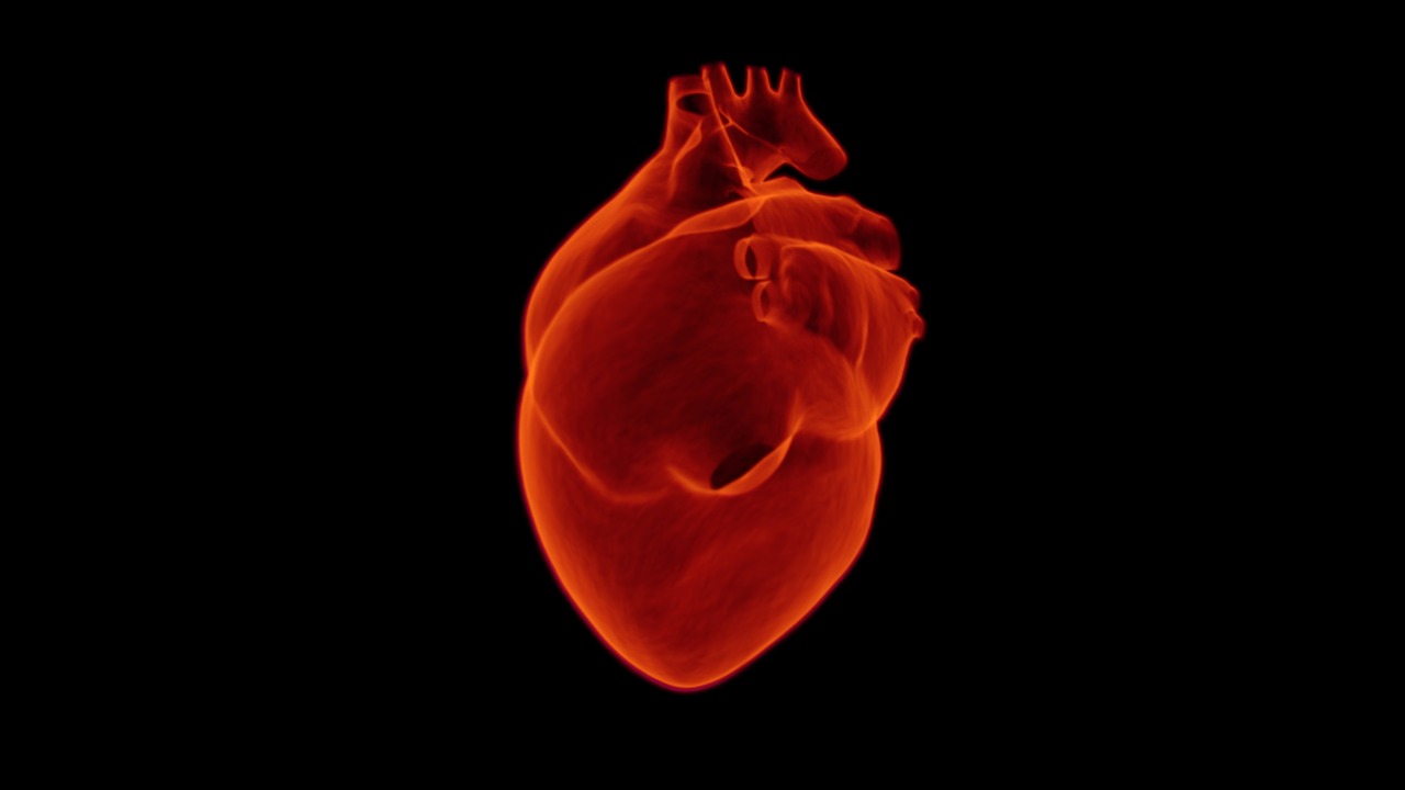 heart-1767552_1280