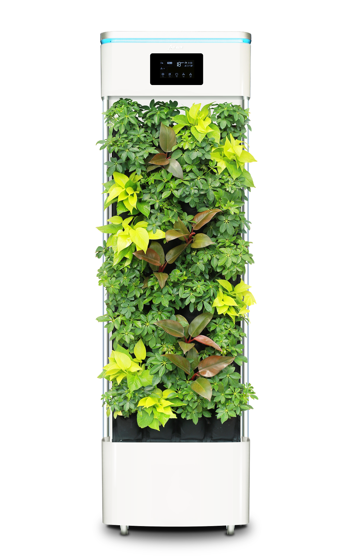 smart-plant-purifier-2397587_1920 (1)
