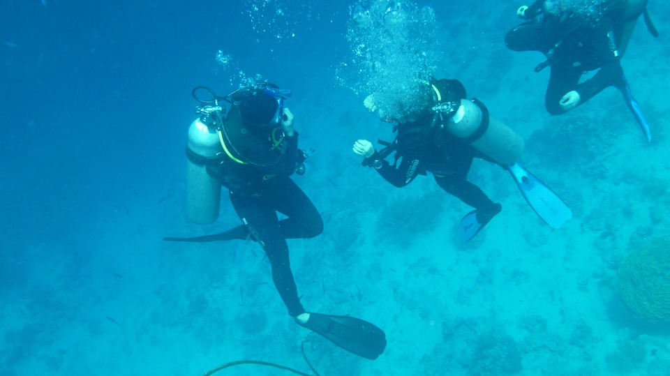 PADI Dive Instructor Training