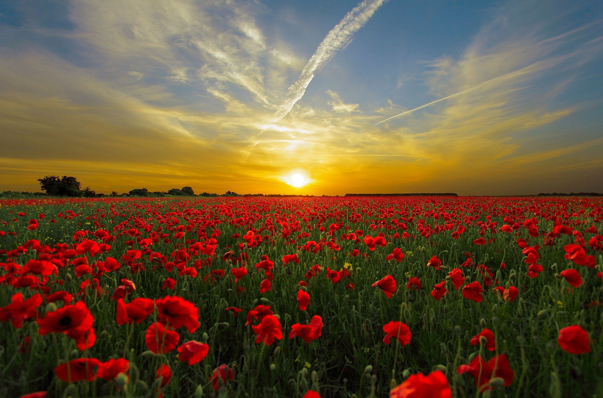 sunset-g782e8d727_1920
