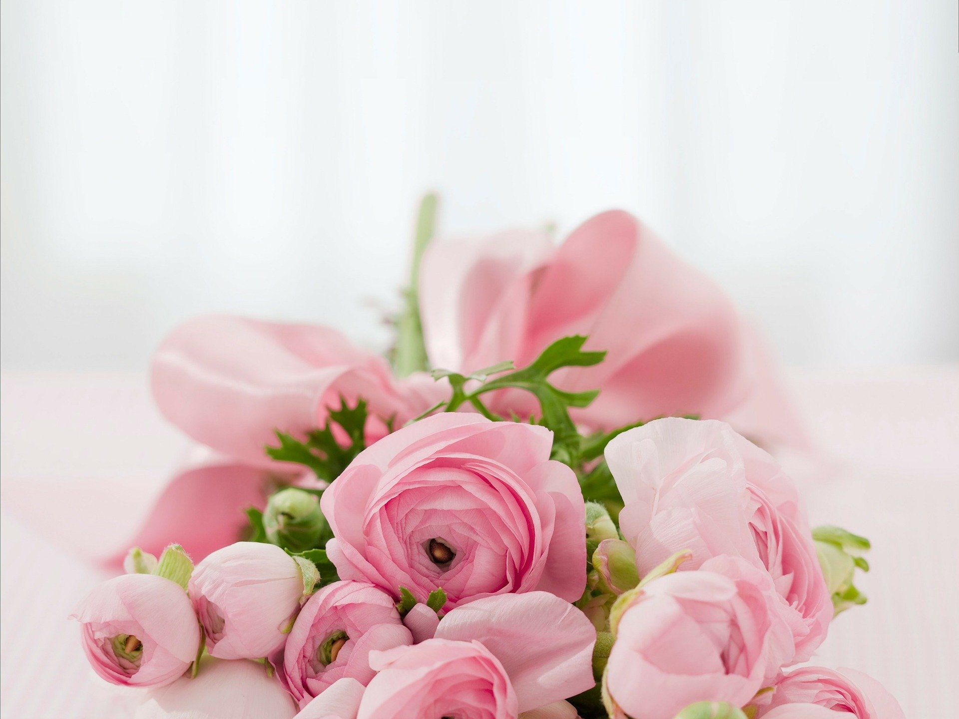 bouquet-g68c7d1926_1920