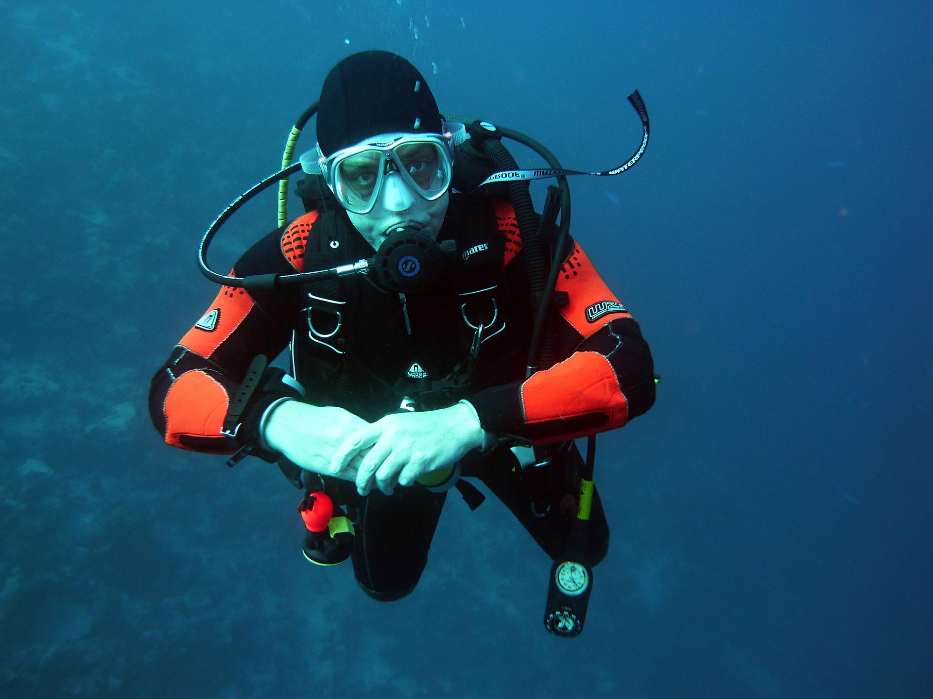 dive-752007_1920