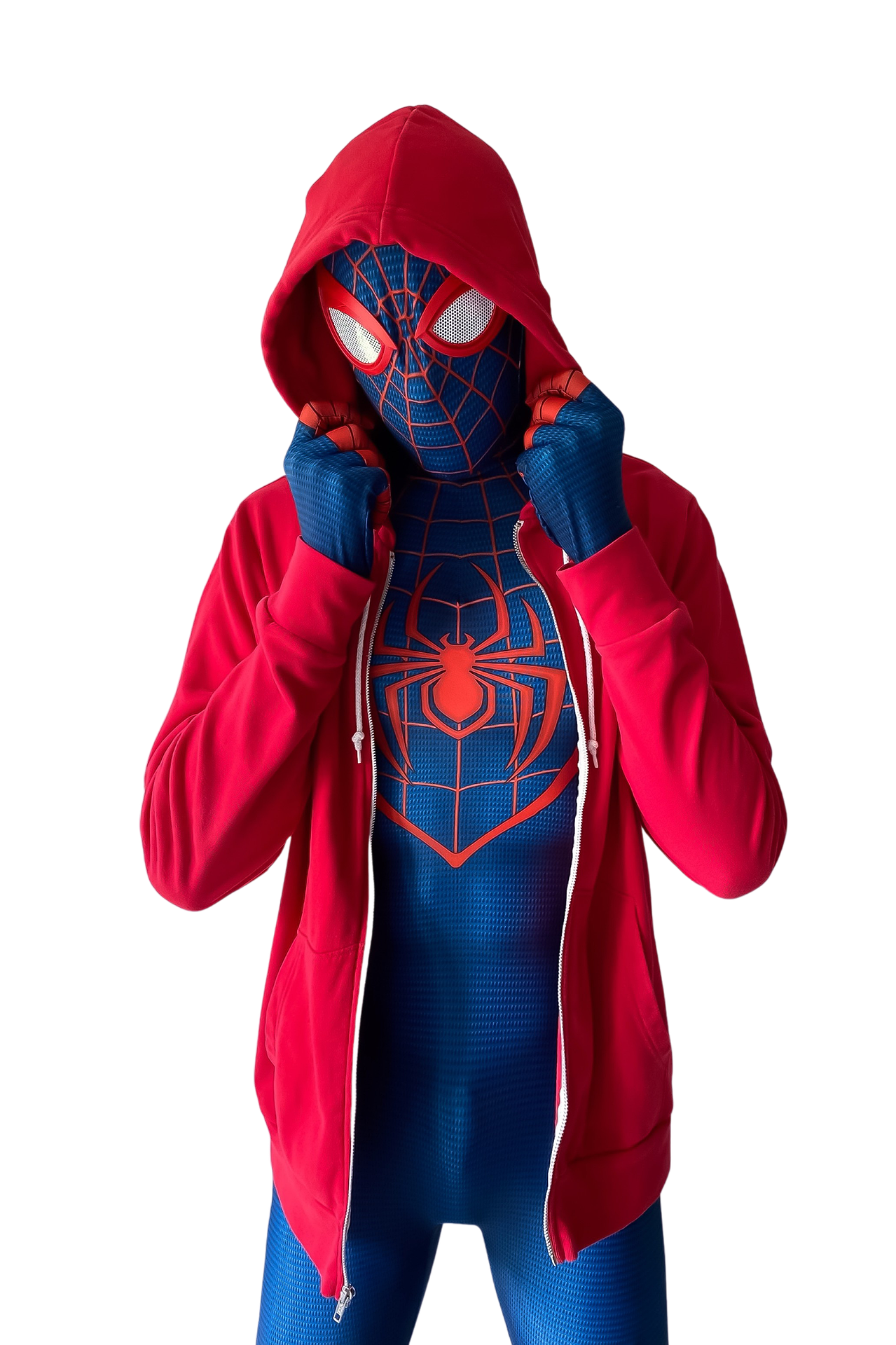 spider-man-5579908_1920