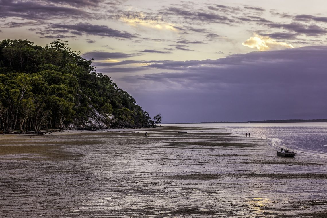 Things To Do On Fraser Island Whale Watching Tours