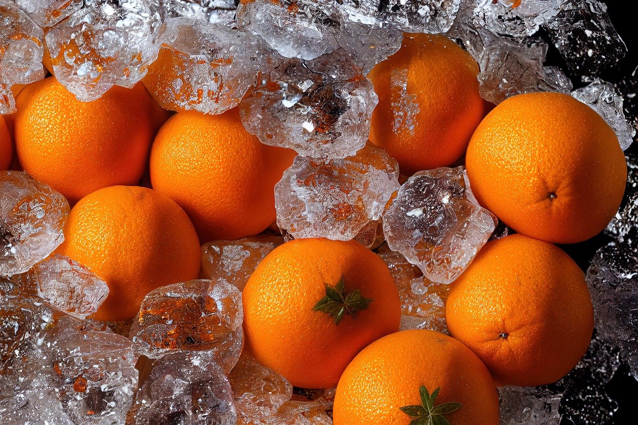 What You Need to Know About Ice Machines